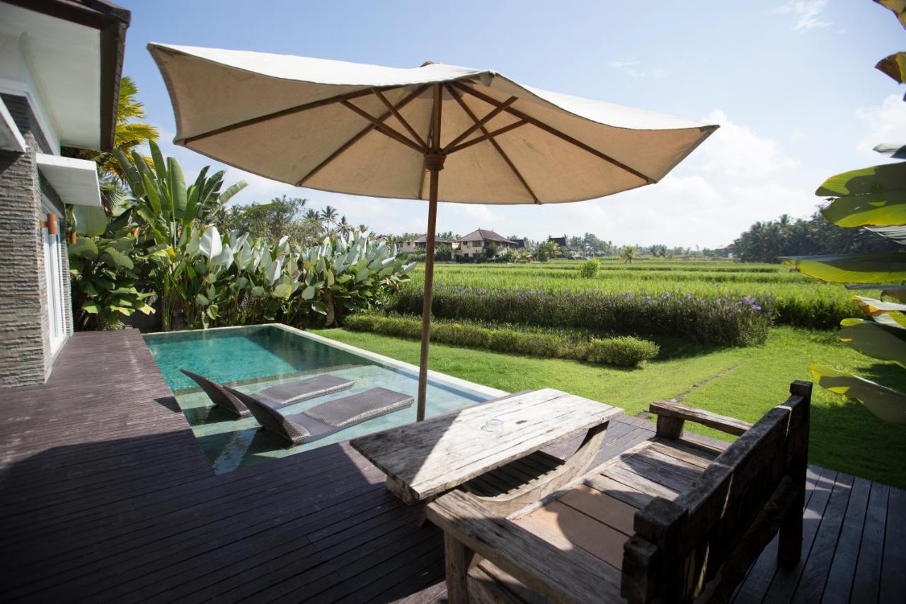One-Bedroom Villa with Private Pool,724458613:JPEG
