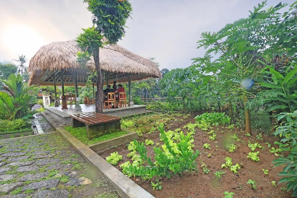 Inang Villa-1