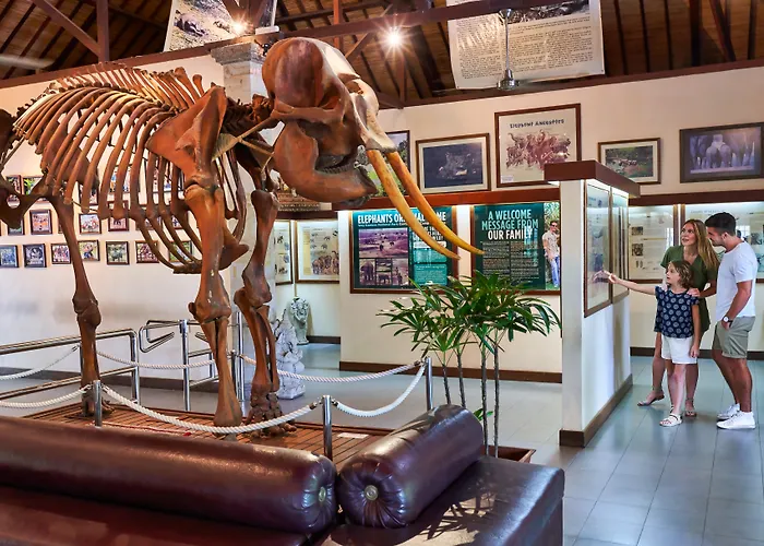Mason Elephant Lodge